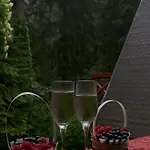 Casa Familiei Poiana Brasov