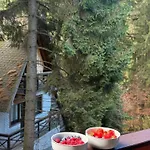 Casa Familiei Jaktstuga