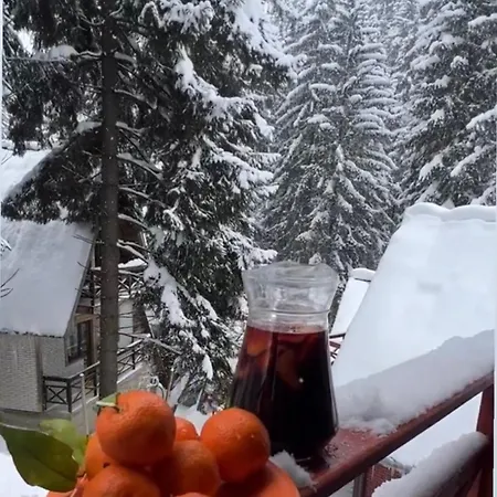 Lodge Casa Familiei Poiana