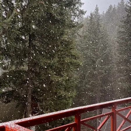 Casa Familiei Poiana *