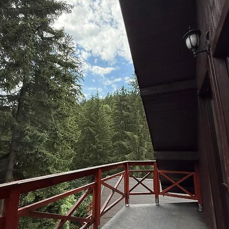 Lodge Casa Familiei Poiana Braşov