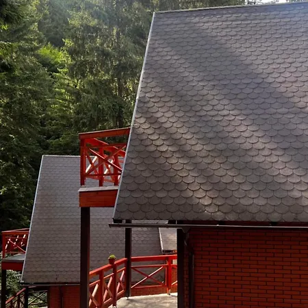 Casa Familiei Poiana *