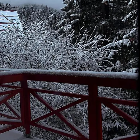 Casa Familiei Poiana Lodge