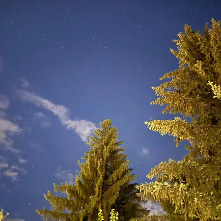 Casa Familiei Poiana *