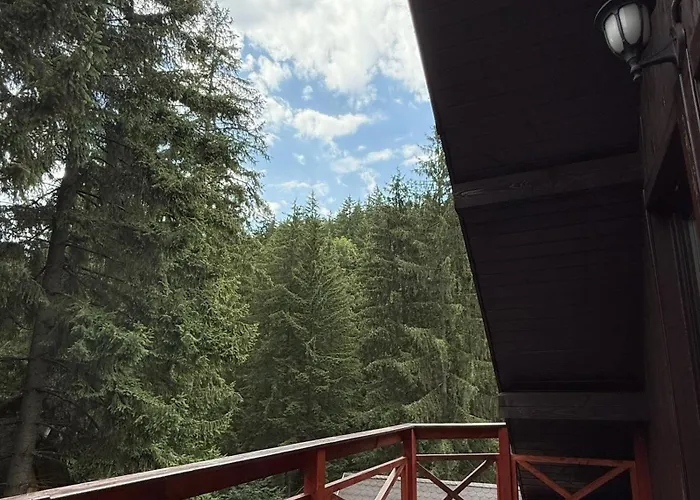 Lodge Casa Familiei *