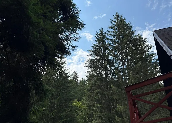 Casa Familiei Poiana Brasov