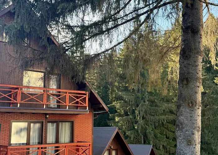 Lodge Casa Familiei *